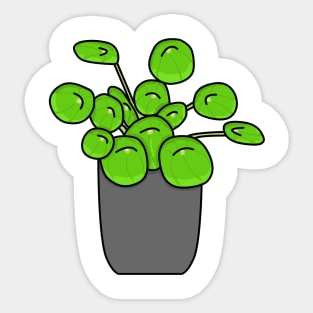 Pannenkoekplant Pilea Peperomioides Color Sticker